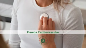 Prueba Cardiovascular